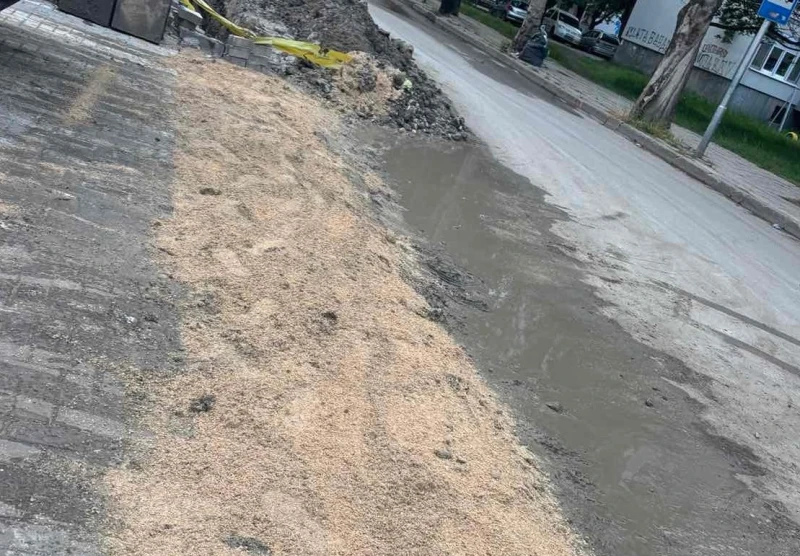 След публикация в Plovdiv24.bg: Решиха проблем в "Южен"