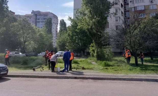 Кметът на столичния район "Младост": Предприехме решителни действия, за да върнем реда и сигурността в зелените площи