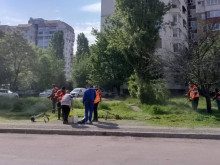 Кметът на столичния район "Младост": Предприехме решителни действия, за да върнем реда и сигурността в зелените площи