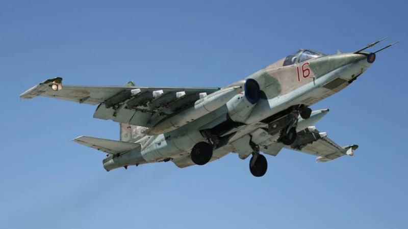 ОСГВ "Хортица": Украйна свали руски Су-25