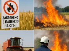Община Кубрат въвежда ограничения и задължения за земеделските стопани