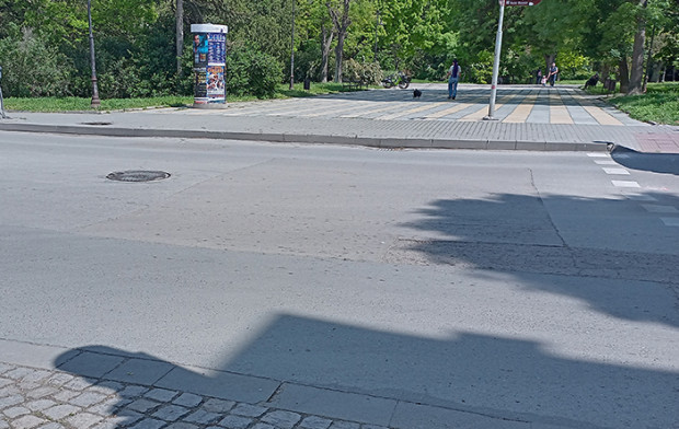Граждани: Трябва ли да има и "Сияна от Варна", за да се обърне внимание на този проблем?