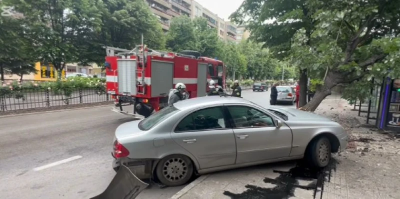 Кола събори дърво върху автобусна спирка в Хасково