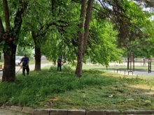 Косенето на тревните площи в Русе продължава и тази седмица