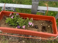 Кметска благодарност за бързо установени вандали в Кюстендил
