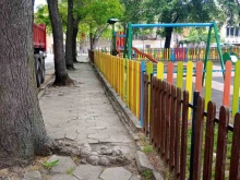 Засаждат нови 21 дървета в Благоевград на мястото на 16, които са в недобро състояние