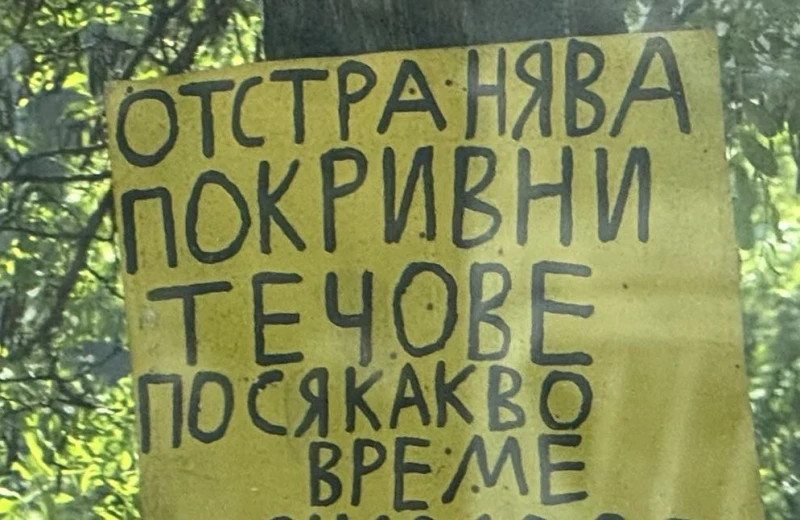 Читател: За първи път я срещам
