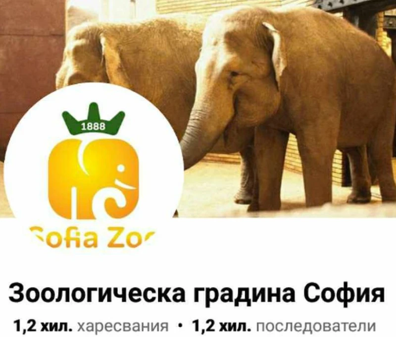 Софийският зоопарк предупреждава за измама