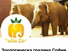 Софийският зоопарк предупреждава за измама
