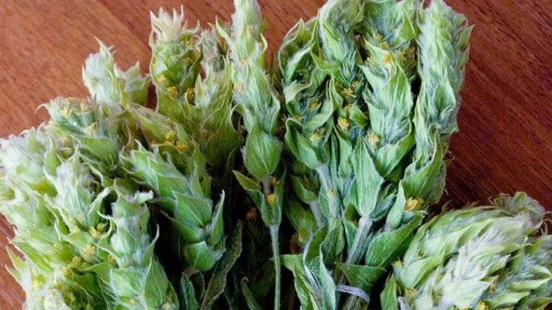 ����������� ���, ������, �������, �������, ���������� � ����������� �� ���� ���-��������� ��������� ����� �� ������������� �����