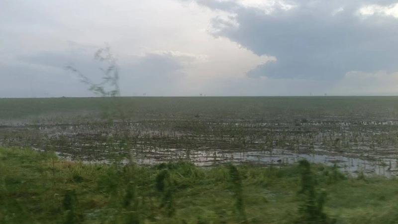 Частично бедствено положение в Новозагорско