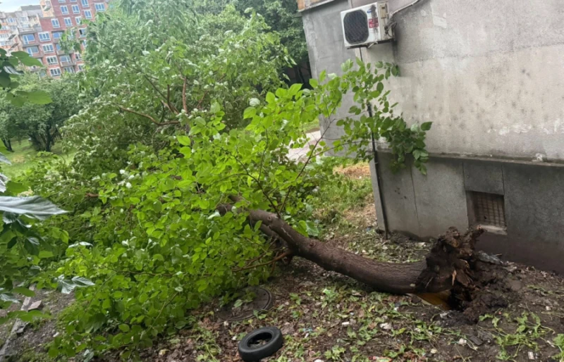 Жител на Кючука: Кмете, запалете една свещичка, че не е имало хора през нощта