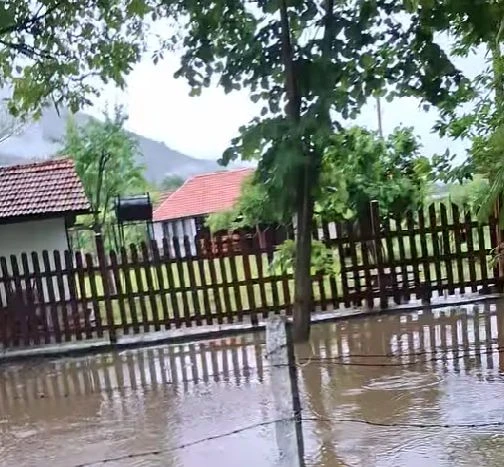 ���� �������� ������: ���� � ���������� ���� �� �������� ���������� ��������� �� ������ �� ������