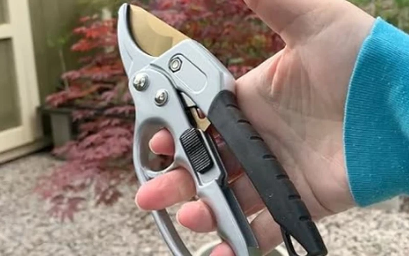 ��� ����� ����� �� �� ������� � �������� ������, ���������� ��