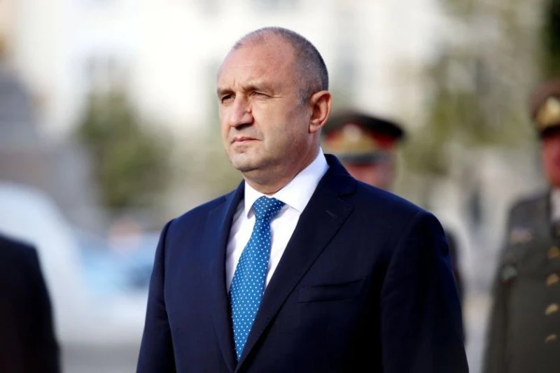 Конституционният съд образува дело по искането на президента за референдум за еврото