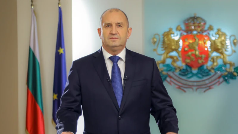Юристи: Искането на президента за референдум за еврото е противоконституционно