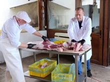 Мащабен свинекомплекс край Русе впечатлява с новия хибрид "Черен ангел" и модерни технологии