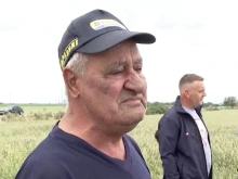 Земевладелец за унищожената му реколта: Да се намеси държавата! Нали за народа работим? Чакат хляба от нас
