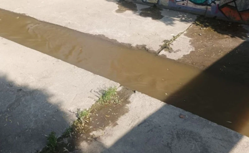 ����� � ����� ������� �������� �� ������ �� ������������� ���� ��������