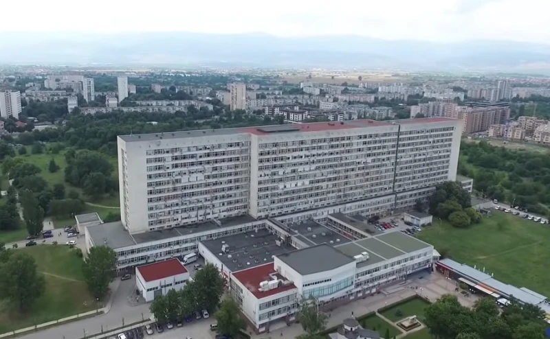 Смъртоносна заплаха в Южна България: Висцералната лайшманиоза атакува децата