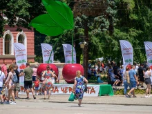 Любими изпълнители идват за Празника на черешата в Кюстендил