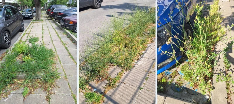 ��������� �� Burgas24.bg: ������ ������ �� � ��������� ������� ������