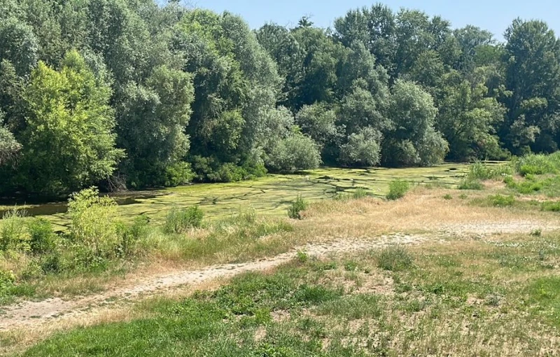 Река Марица заприлича на блато
