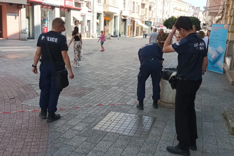 Отцепиха част от Главната заради пчели