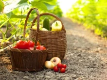 Д-р Велчев: Български продукти влизат от други страни и излизат към други с такива съдържания, които бихме нарекли притеснителни