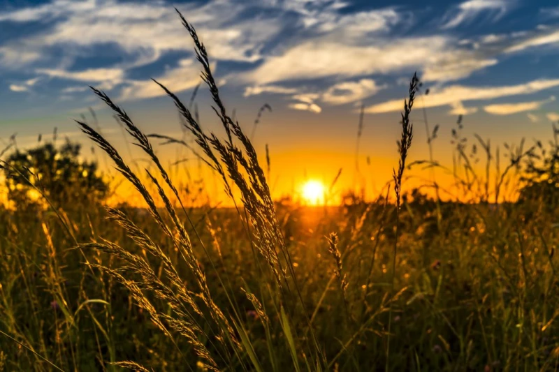 До 31 градуса днес