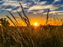 До 31 градуса днес