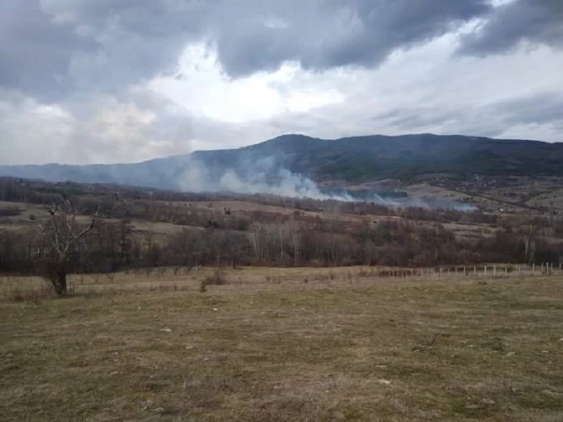 Пожар в Коняво унищожи фургон и овощия