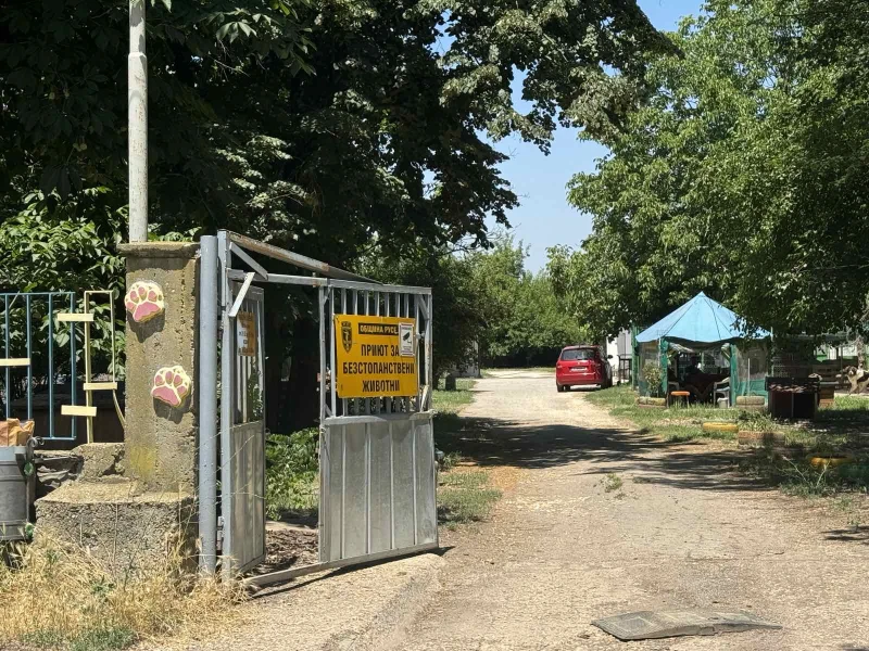 Приютът за бездомни животни в Русе търси ветеринар
