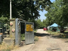 Приютът за бездомни животни в Русе търси ветеринар