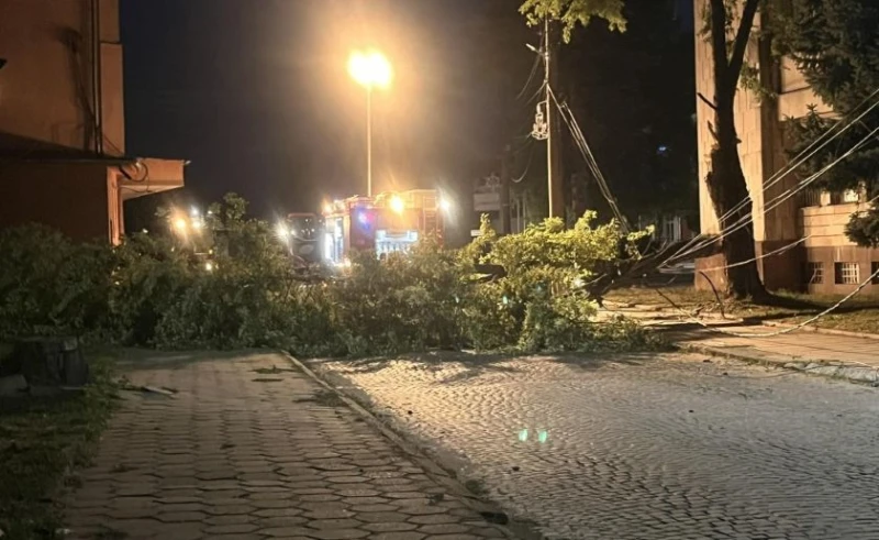Паднало дърво блокира бул. "България" в Две могили и повреди електрически жици