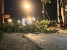 Паднало дърво блокира бул. "България" в Две могили и повреди електрически жици