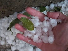 Предстои да се изяснят щетите по реколтата в Гърмен и областта след ужасната градушка