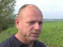 Производители след опустошителната градушка: Загубите са на 100%, не знам сега какво ще правим