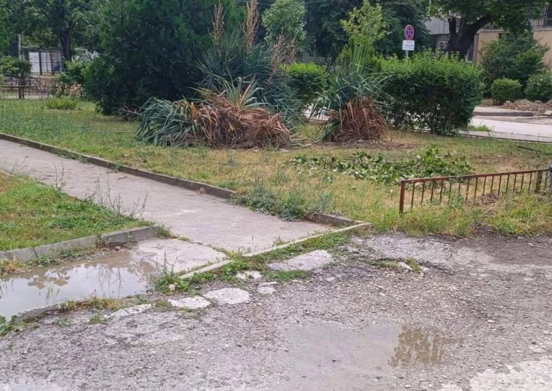 Джип се заби в блок в Пловдив, няма реакция от полицията
