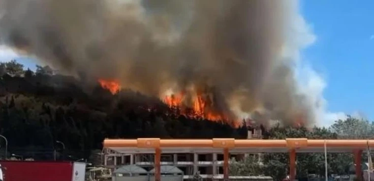 Горски пожар бушува до източния вход на Кавала