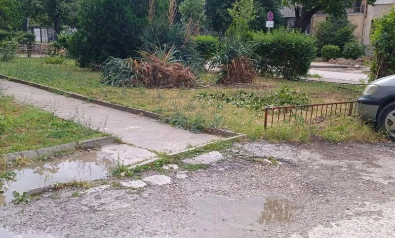 След публикация на Plovdiv24.bg полицията започва проверка