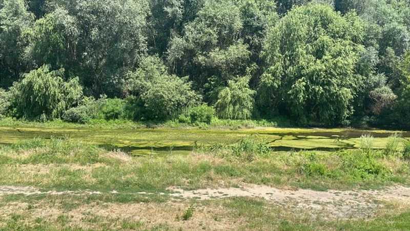 Спешна среща в Пловдив за почистването на реките в Южна България