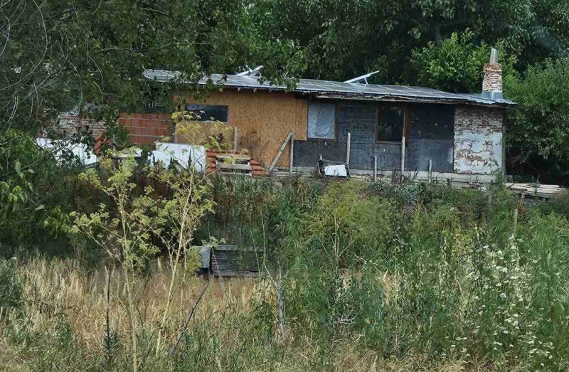 Не могат да разберат причината за мъртвата риба в Марица, но се натъкнаха на следи