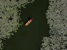 ������ �� ���� � ���-�������� ������� �� ����� ����� � ��������?
