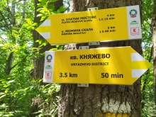 �������� ���� "������" � ����� ���������� �� ����� ���������� ��������
