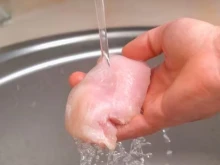 ������������ ������ � �� ����� ������ ����� �������