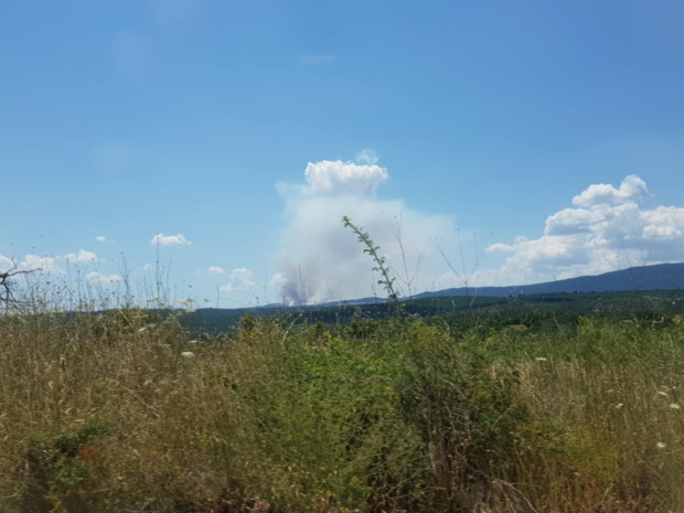 Пожар в района на Тополовград По всяка вероятност горят сухи