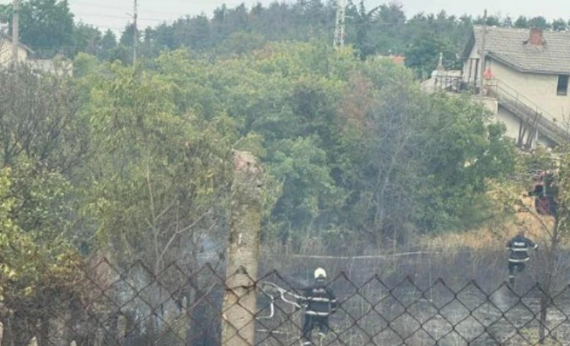 Огън пламна във вилна зона около Хасково, но много бързо беше локализиран