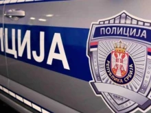 Паника в Белград! Избягало диво животно рани дете и още двама души