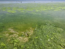 Вижте как изглежда плажът във Варна, хората не искат да влизат във водата
